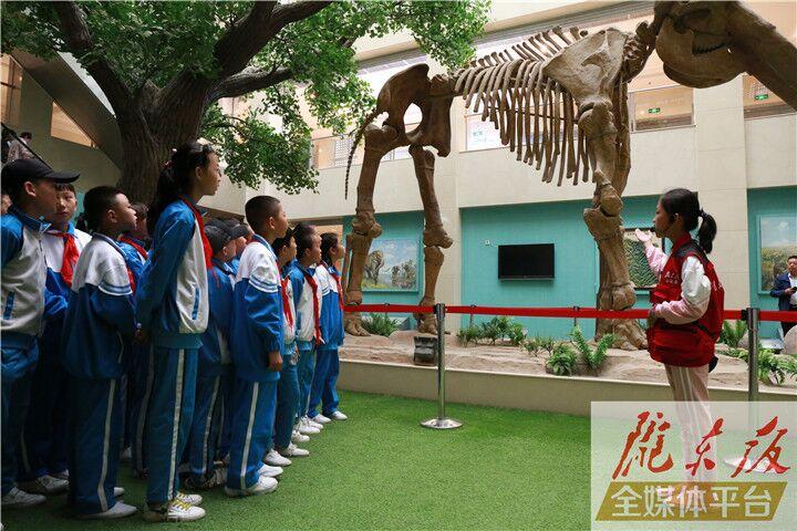 【第一眼】慶陽市博物館開展多項活動慶?！?·18國際博物館日”