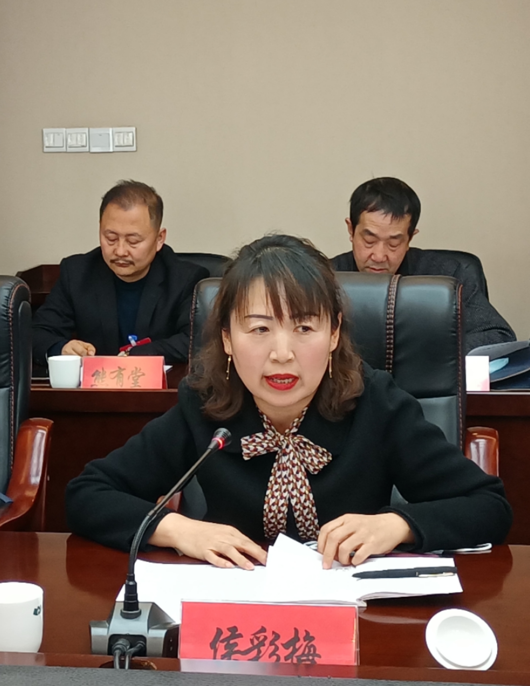 侯彩梅委員在討論發(fā)言時(shí)就規(guī)范農(nóng)村中小學(xué)體育教學(xué)提出了建議。