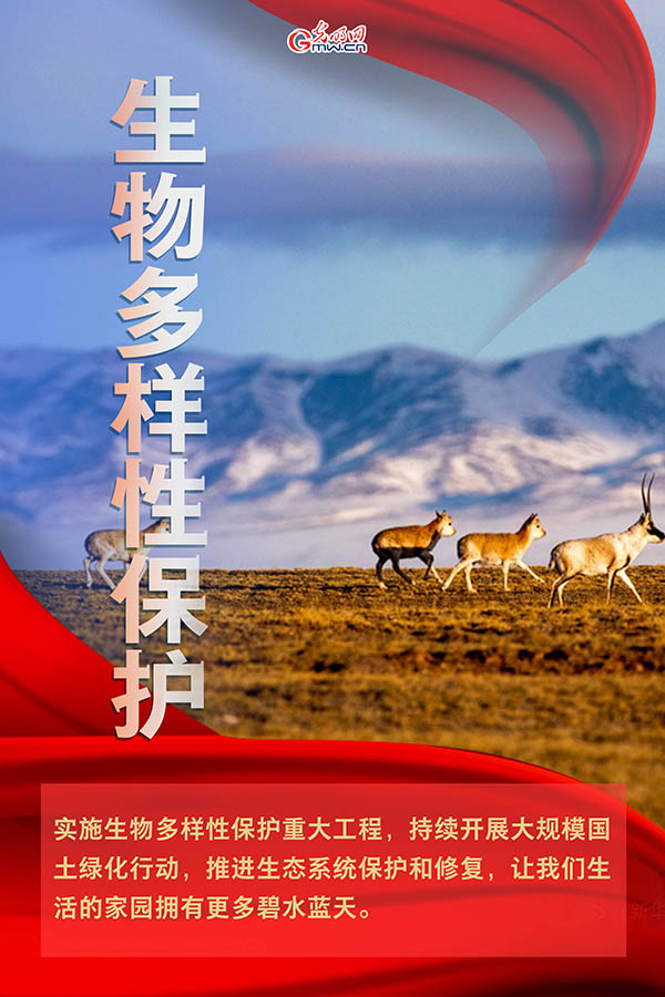 海報(bào)| 2021年政府工作報(bào)告，提到這些生態(tài)環(huán)保關(guān)鍵詞