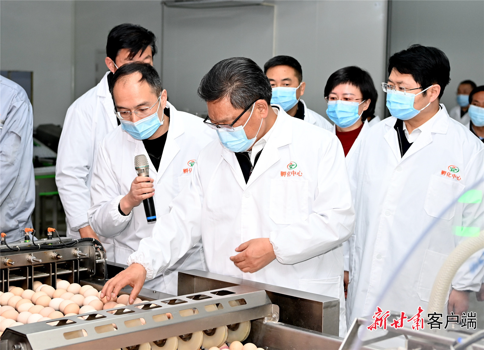 任振鶴在慶陽調(diào)研時強調(diào)：用新思想指引新征程，以新發(fā)展書寫新答卷，真抓實干推動新時代革命老區(qū)振興發(fā)展