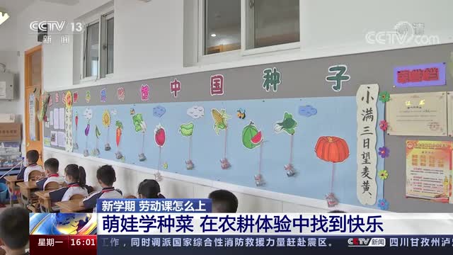 新學期，勞動課怎么上？央視《新聞直播間》關注北師大慶陽附校農(nóng)耕體驗課
