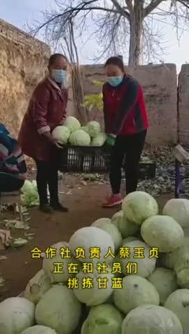 愛(ài)心“蔬”送 情暖“疫”線(xiàn)