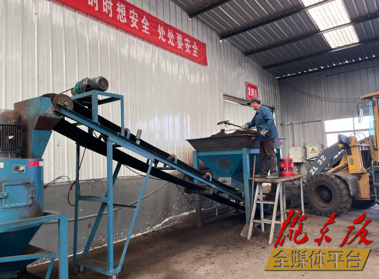 合水縣充分利用當(dāng)?shù)匦笄菁S便及秸稈回收的有機(jī)肥料“變廢為肥”。本報(bào)記者 劉萍凝 攝