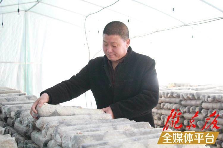 西峰區(qū)后官寨鎮(zhèn)司官寨村食用菌基地，工作人員在整理菌棒。本報(bào)記者 南力 攝