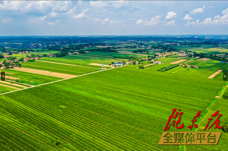 發(fā)展三元雙向循環(huán)模式 構建現(xiàn)代農(nóng)業(yè)新格局——慶陽市著力推進農(nóng)業(yè)農(nóng)村高質(zhì)量發(fā)展綜述