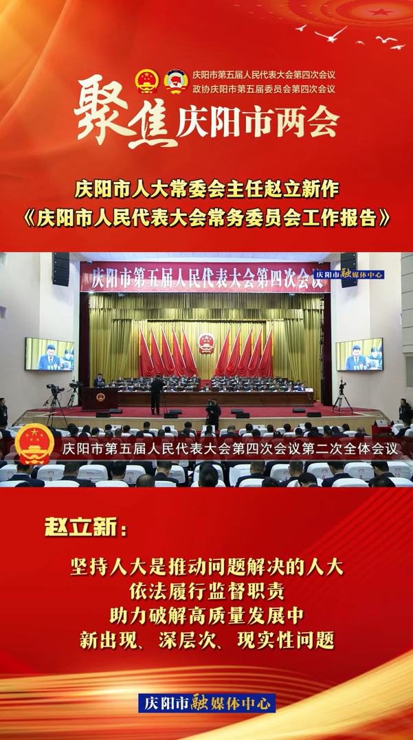 兩會V視(29)丨趙立新：堅持人大是推動問題解決的人大，依法履行監(jiān)督職責(zé)，助力破解高質(zhì)量發(fā)展中新出現(xiàn)、深層次、現(xiàn)實性問題