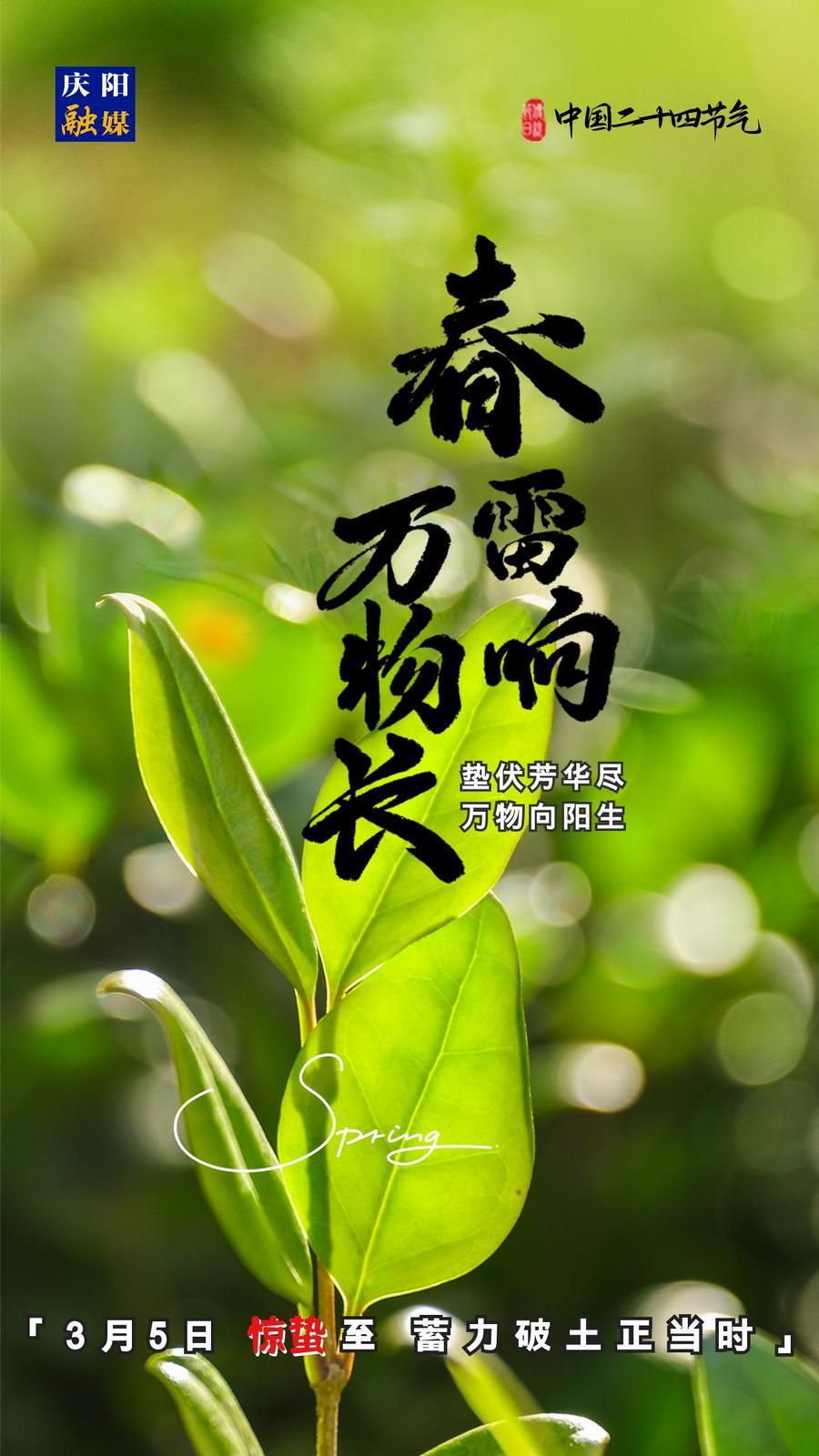 【微海報(bào)】二十四節(jié)氣丨驚蟄至，蓄力破土正當(dāng)時(shí)