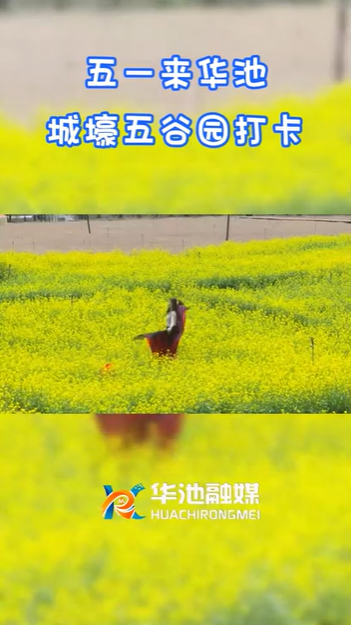 【五一游慶陽】歡迎來華池城壕五谷園打卡??！