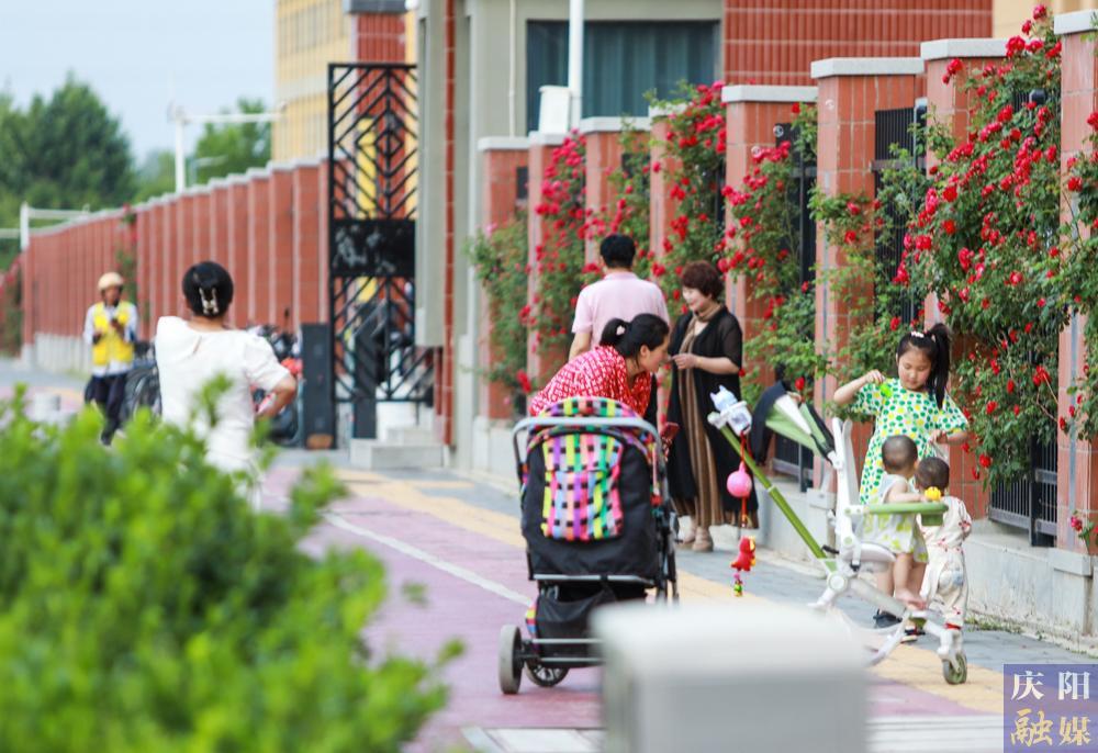 【攝影報道】薔薇花開！邂逅夏日的浪漫